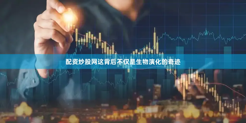 配资炒股网这背后不仅是生物演化的奇迹